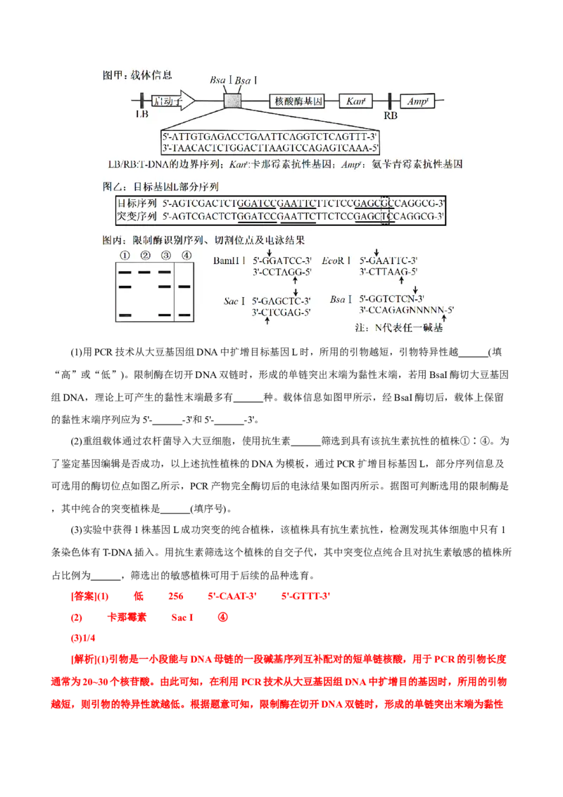 知识清单37基因工程和蛋白质工程（4大考点+10个易错点）-上好课2025年高考生物一轮复习知识清单_2025年新高考资料_一轮复习_上好课2025年高考生物一轮复习知识清单325572639