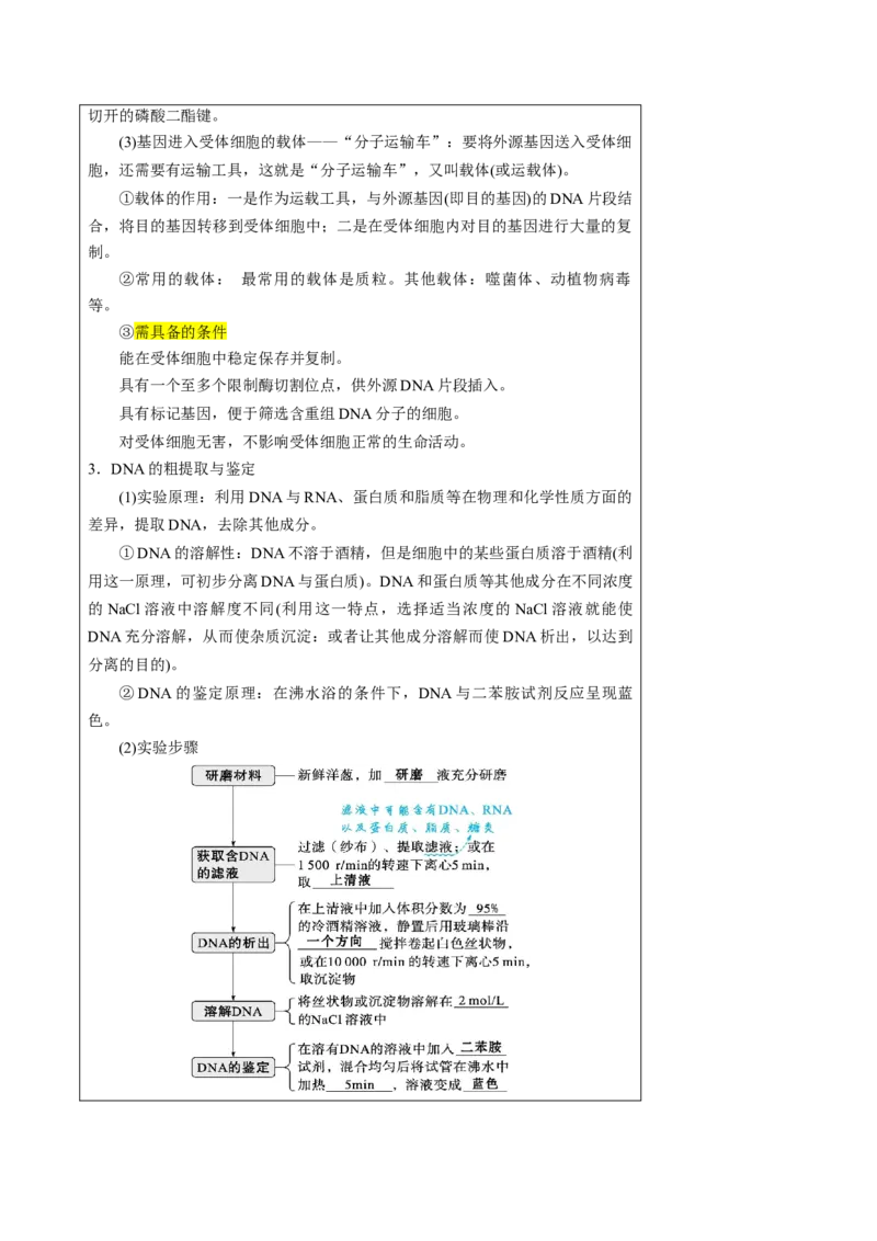 知识清单37基因工程和蛋白质工程（4大考点+10个易错点）-上好课2025年高考生物一轮复习知识清单_2025年新高考资料_一轮复习_上好课2025年高考生物一轮复习知识清单325572639