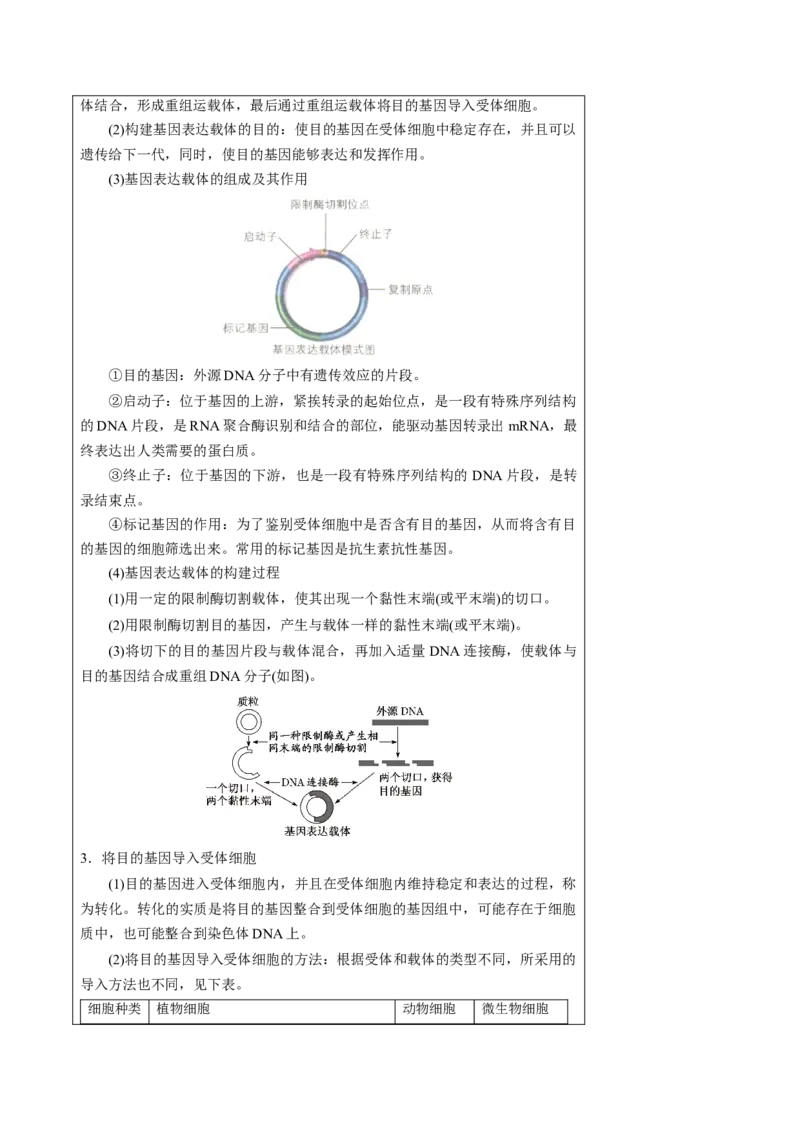 知识清单37基因工程和蛋白质工程（4大考点+10个易错点）-上好课2025年高考生物一轮复习知识清单_2025年新高考资料_一轮复习_上好课2025年高考生物一轮复习知识清单325572639