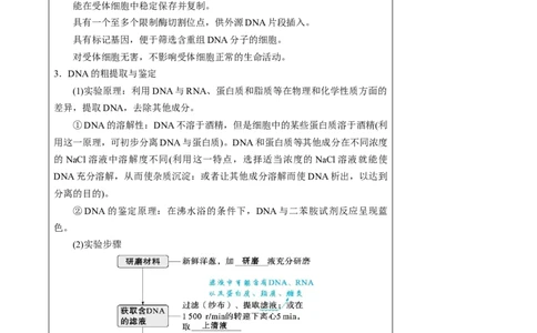 知识清单37基因工程和蛋白质工程（4大考点+10个易错点）-上好课2025年高考生物一轮复习知识清单_2025年新高考资料_一轮复习_上好课2025年高考生物一轮复习知识清单325572639
