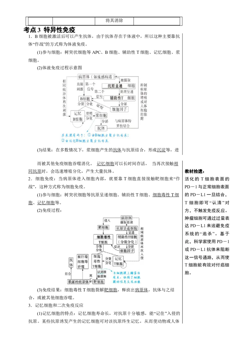 知识清单24免疫调节（3大考点5个易错点）-上好课2025年高考生物一轮复习知识清单[h][47906912]_2025年新高考资料_一轮复习_上好课2025年高考生物一轮复习知识清单325572639