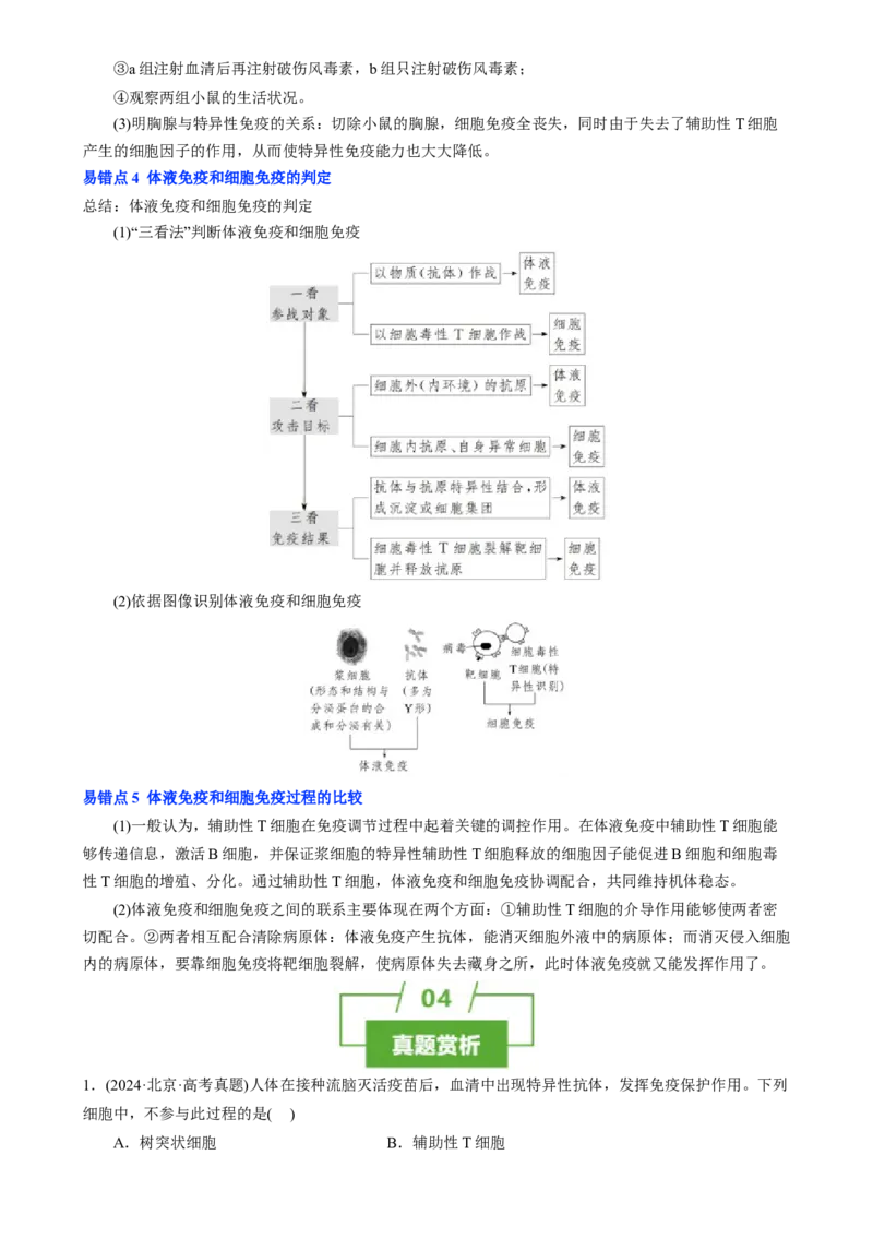 知识清单24免疫调节（3大考点5个易错点）-上好课2025年高考生物一轮复习知识清单[h][47906912]_2025年新高考资料_一轮复习_上好课2025年高考生物一轮复习知识清单325572639