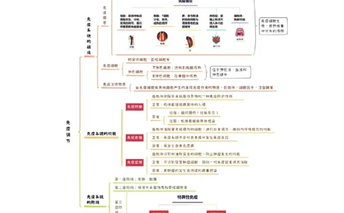 知识清单24免疫调节（3大考点5个易错点）-上好课2025年高考生物一轮复习知识清单[h][47906912]_2025年新高考资料_一轮复习_上好课2025年高考生物一轮复习知识清单325572639