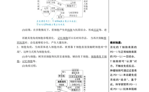 知识清单24免疫调节（3大考点5个易错点）-上好课2025年高考生物一轮复习知识清单[h][47906912]_2025年新高考资料_一轮复习_上好课2025年高考生物一轮复习知识清单325572639