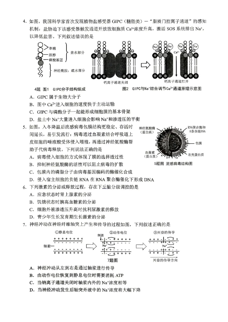 重庆九龙坡等区高2026届学业质量调研抽测生物_2024-2026高三（6-6月题库）_2026年04月高三试卷_260419重庆九龙坡等区高2026届学业质量调研抽测（第二次）（全科）