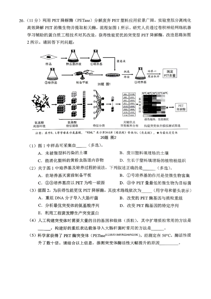 重庆九龙坡等区高2026届学业质量调研抽测生物_2024-2026高三（6-6月题库）_2026年04月高三试卷_260419重庆九龙坡等区高2026届学业质量调研抽测（第二次）（全科）