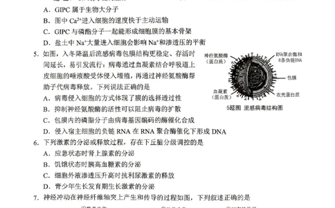 重庆九龙坡等区高2026届学业质量调研抽测生物_2024-2026高三（6-6月题库）_2026年04月高三试卷_260419重庆九龙坡等区高2026届学业质量调研抽测（第二次）（全科）