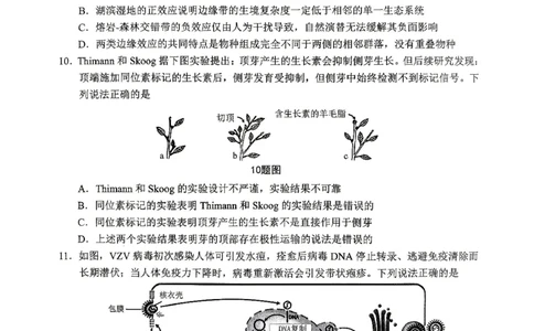 重庆九龙坡等区高2026届学业质量调研抽测生物_2024-2026高三（6-6月题库）_2026年04月高三试卷_260419重庆九龙坡等区高2026届学业质量调研抽测（第二次）（全科）
