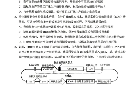 重庆九龙坡等区高2026届学业质量调研抽测生物_2024-2026高三（6-6月题库）_2026年04月高三试卷_260419重庆九龙坡等区高2026届学业质量调研抽测（第二次）（全科）