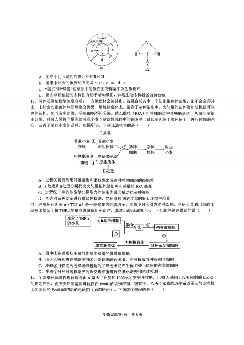 重庆市育才中学校2026届高三下学期2月开学考试生物试题_2024-2026高三（6-6月题库）_2026年03月高三试卷_260302重庆市育才中学校2026届高三下学期2月开学考试（全科）