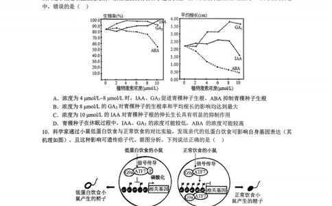 重庆市育才中学校2026届高三下学期2月开学考试生物试题_2024-2026高三（6-6月题库）_2026年03月高三试卷_260302重庆市育才中学校2026届高三下学期2月开学考试（全科）