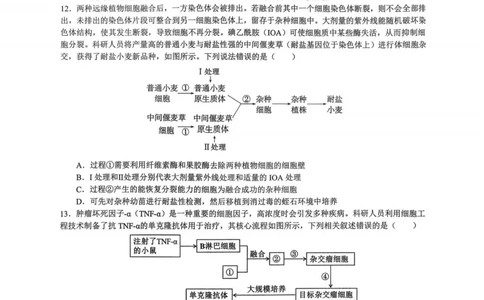重庆市育才中学校2026届高三下学期2月开学考试生物试题_2024-2026高三（6-6月题库）_2026年03月高三试卷_260302重庆市育才中学校2026届高三下学期2月开学考试（全科）