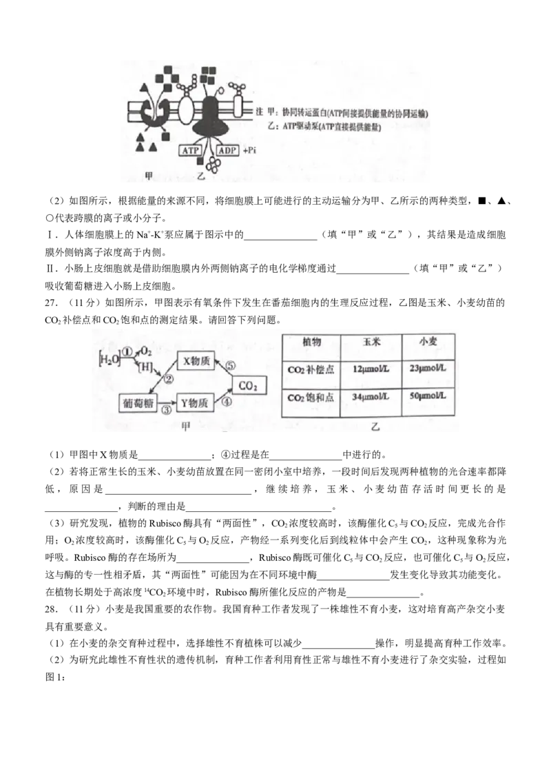 河南省信阳市普通高中2022-2023学年高三第二次教学质量检测生物试题_生物高考模拟题_新高考_2023年_2023河南省信阳市普通高中高三第二次教学质量检测1.16-17生物
