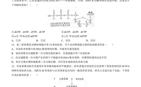 河南省信阳市普通高中2022-2023学年高三第二次教学质量检测生物试题_生物高考模拟题_新高考_2023年_2023河南省信阳市普通高中高三第二次教学质量检测1.16-17生物
