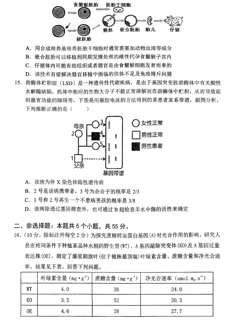 重庆名校联盟2026届高三下学期第一次联考生物_2024-2026高三（6-6月题库）_2026年03月高三试卷_260314重庆名校联盟2026届高三下学期第一次联考（全科）