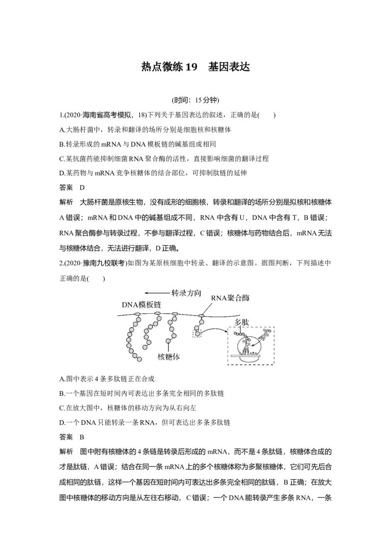 热点微练19　基因表达_新高考复习资料_2023年新高考复习资料_一轮复习_2023年新高考大一轮复习讲义_2023年高考生物一轮复习讲义（新人教新高考）_赠补充习题