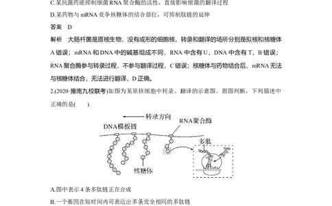 热点微练19　基因表达_新高考复习资料_2023年新高考复习资料_一轮复习_2023年新高考大一轮复习讲义_2023年高考生物一轮复习讲义（新人教新高考）_赠补充习题