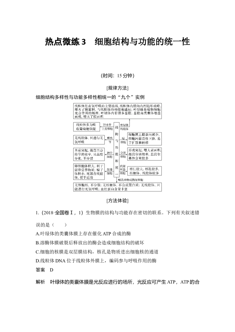 热点微练3细胞结构与功能的统一性_通用版（老高考）复习资料_2023年复习资料_一轮复习_2023年高考生物一轮复习讲义+课件（全国版）_2023年高考生物一轮复习讲义（全国版）