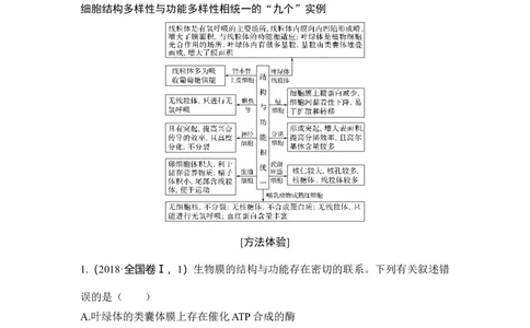 热点微练3细胞结构与功能的统一性_通用版（老高考）复习资料_2023年复习资料_一轮复习_2023年高考生物一轮复习讲义+课件（全国版）_2023年高考生物一轮复习讲义（全国版）