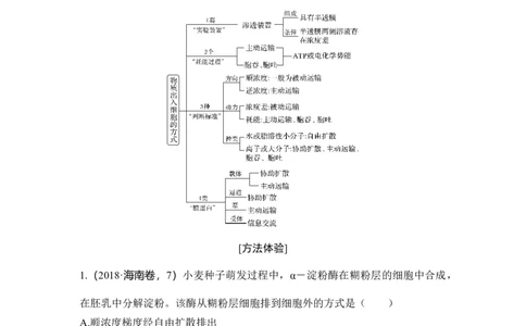 热点微练5物质出入细胞的方式_通用版（老高考）复习资料_2023年复习资料_一轮复习_2023年高考生物一轮复习讲义+课件（全国版）_2023年高考生物一轮复习讲义（全国版）_赠补充习题