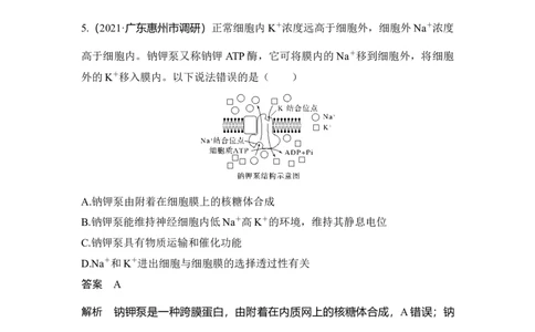 热点微练5物质出入细胞的方式_通用版（老高考）复习资料_2023年复习资料_一轮复习_2023年高考生物一轮复习讲义+课件（全国版）_2023年高考生物一轮复习讲义（全国版）_赠补充习题