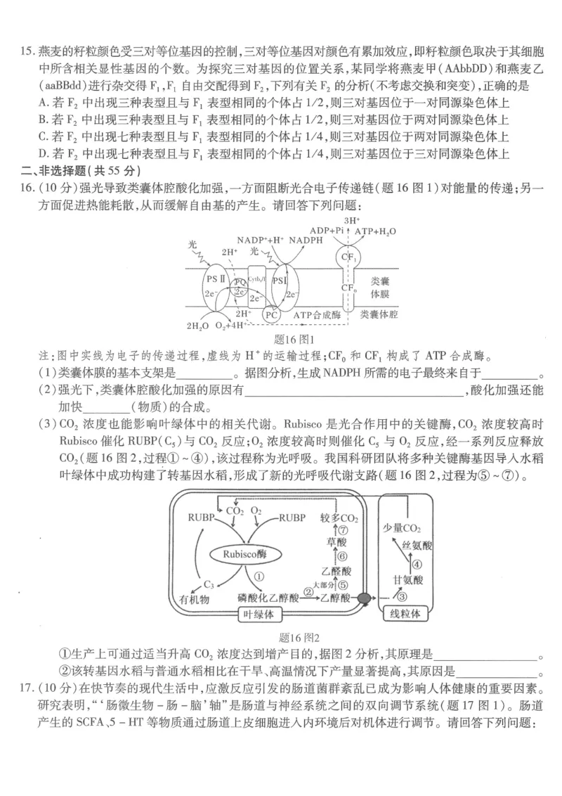 重庆市南开中学高2026届高三第六次质量检测生物_2024-2026高三（6-6月题库）_2026年03月高三试卷_260312重庆市南开中学高2026届高三第六次质量检测（全科）