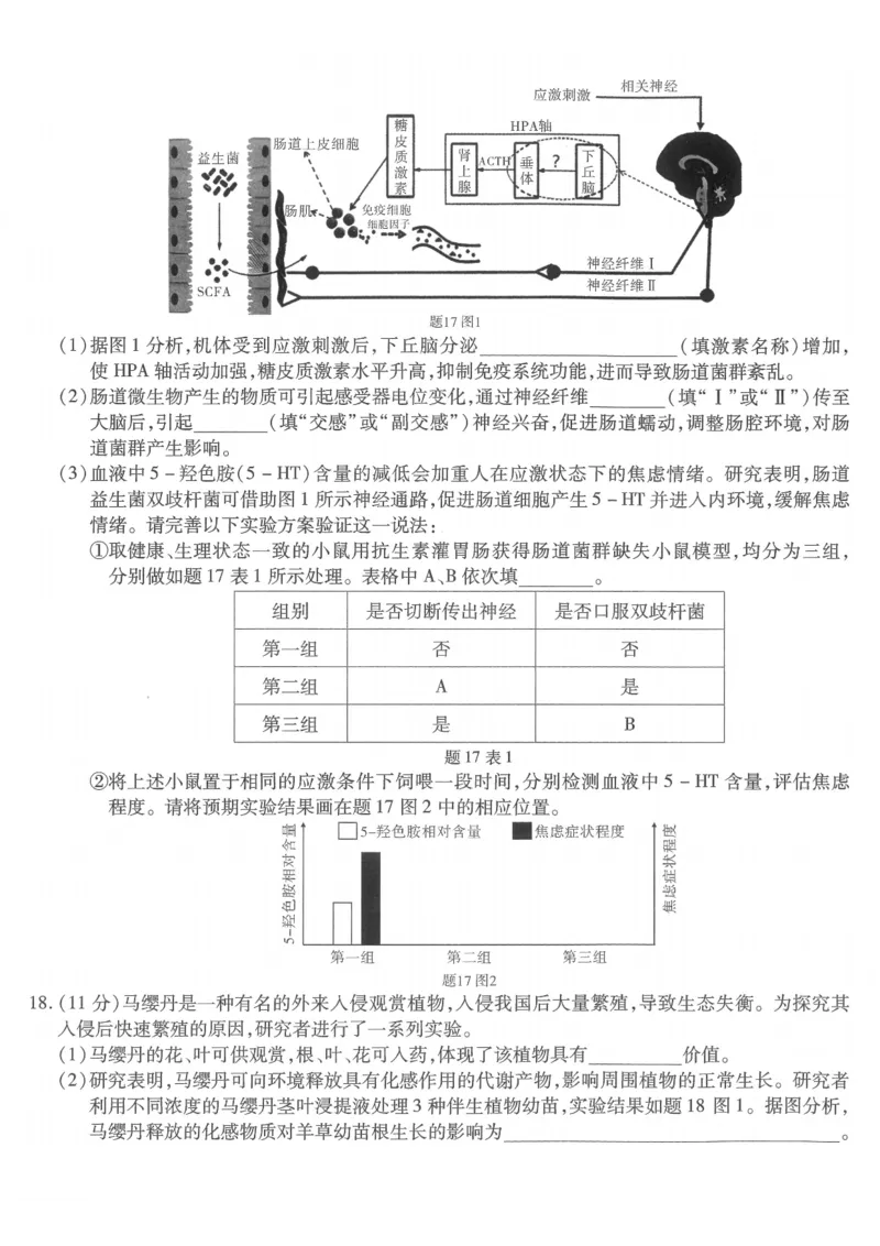 重庆市南开中学高2026届高三第六次质量检测生物_2024-2026高三（6-6月题库）_2026年03月高三试卷_260312重庆市南开中学高2026届高三第六次质量检测（全科）