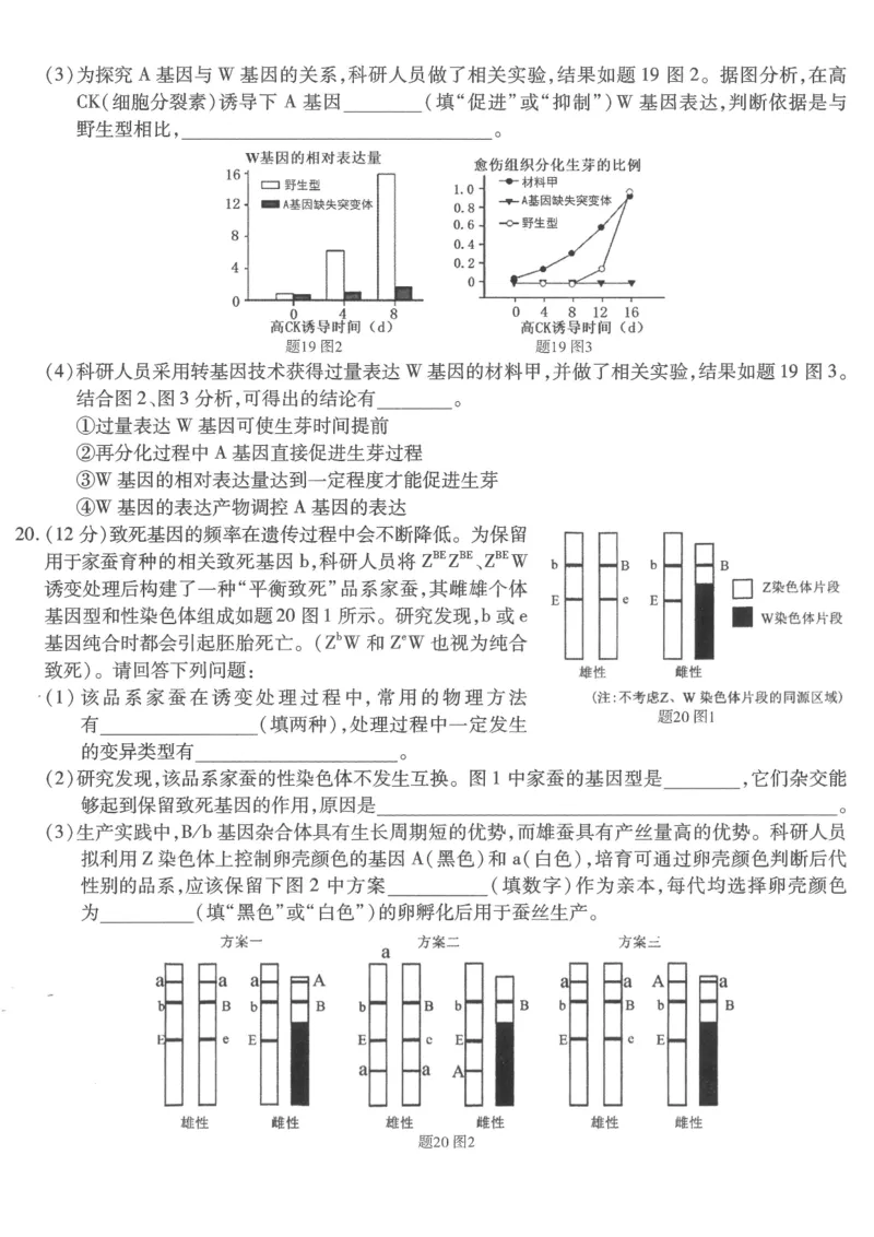 重庆市南开中学高2026届高三第六次质量检测生物_2024-2026高三（6-6月题库）_2026年03月高三试卷_260312重庆市南开中学高2026届高三第六次质量检测（全科）
