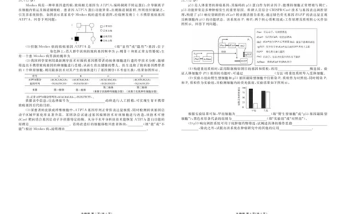 高三3月份生物正文（2026届高三年级3月份学情诊断）_2024-2026高三（6-6月题库）_2026年03月高三试卷_250309衡水金卷2026届高三年级3月份学情诊断（全科）