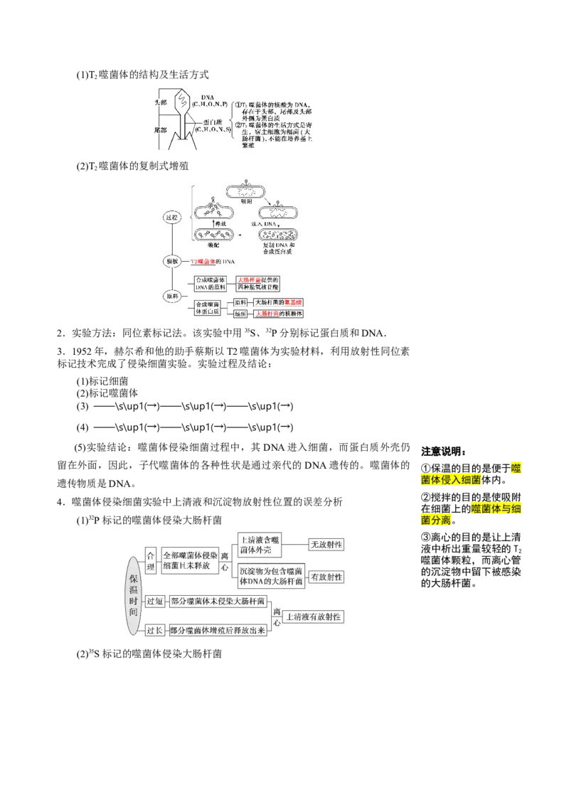 知识清单14DNA是主要的遗传物质（3大考点4个易错点）-上好课2025年高考生物一轮复习知识清单_2025年新高考资料_一轮复习_上好课2025年高考生物一轮复习知识清单325572639