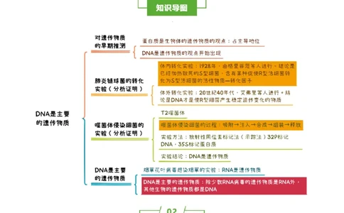 知识清单14DNA是主要的遗传物质（3大考点4个易错点）-上好课2025年高考生物一轮复习知识清单_2025年新高考资料_一轮复习_上好课2025年高考生物一轮复习知识清单325572639