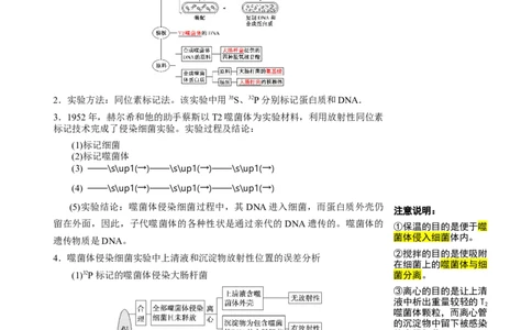 知识清单14DNA是主要的遗传物质（3大考点4个易错点）-上好课2025年高考生物一轮复习知识清单_2025年新高考资料_一轮复习_上好课2025年高考生物一轮复习知识清单325572639
