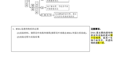 知识清单14DNA是主要的遗传物质（3大考点4个易错点）-上好课2025年高考生物一轮复习知识清单_2025年新高考资料_一轮复习_上好课2025年高考生物一轮复习知识清单325572639