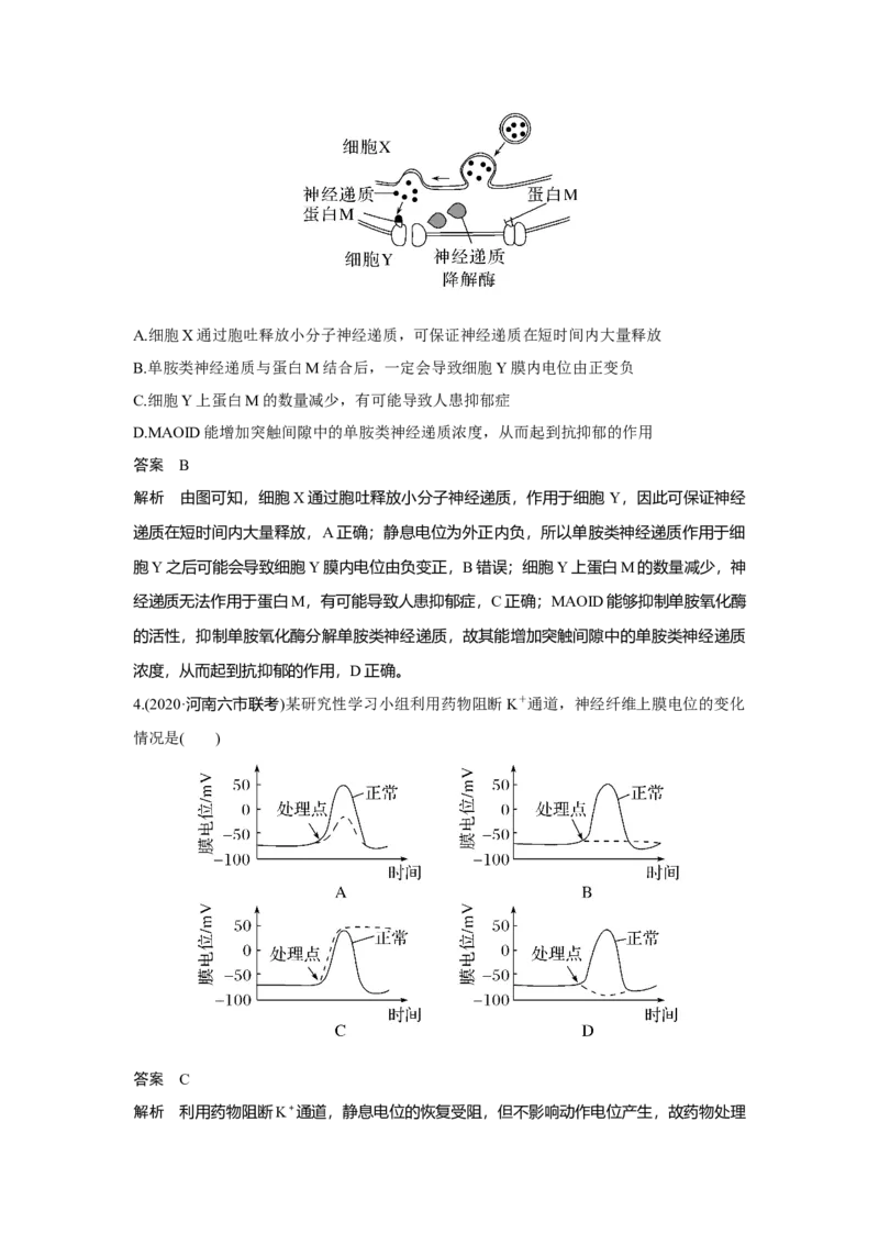 热点微练22　神经调节中的离子与神经递质_新高考复习资料_2023年新高考复习资料_一轮复习_2023年新高考大一轮复习讲义_2023年高考生物一轮复习讲义（新人教新高考）_赠补充习题