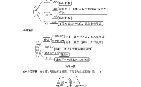 热点微练22　神经调节中的离子与神经递质_新高考复习资料_2023年新高考复习资料_一轮复习_2023年新高考大一轮复习讲义_2023年高考生物一轮复习讲义（新人教新高考）_赠补充习题