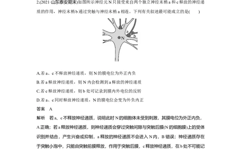 热点微练22　神经调节中的离子与神经递质_新高考复习资料_2023年新高考复习资料_一轮复习_2023年新高考大一轮复习讲义_2023年高考生物一轮复习讲义（新人教新高考）_赠补充习题