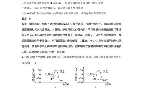 热点微练22　神经调节中的离子与神经递质_新高考复习资料_2023年新高考复习资料_一轮复习_2023年新高考大一轮复习讲义_2023年高考生物一轮复习讲义（新人教新高考）_赠补充习题