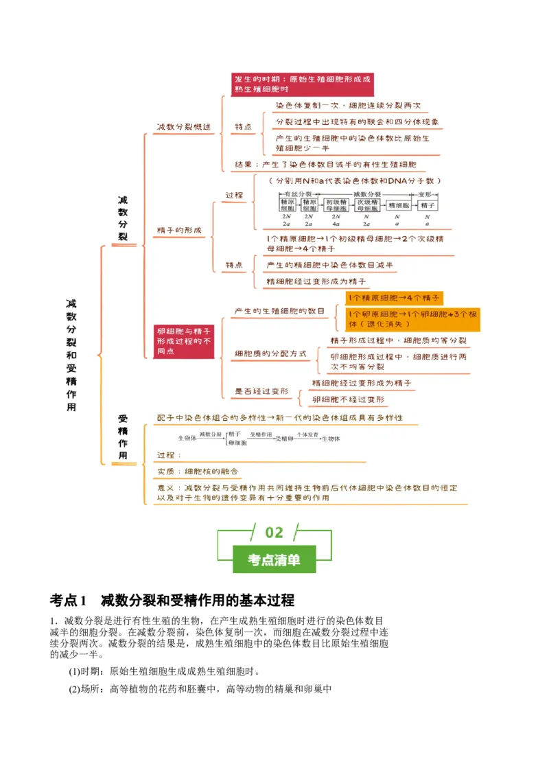 知识清单10+减数分裂和受精作用（3大考点+4个易错点）-上好课2025年高考生物一轮复习知识清单_2025年新高考资料_一轮复习_上好课2025年高考生物一轮复习知识清单325572639