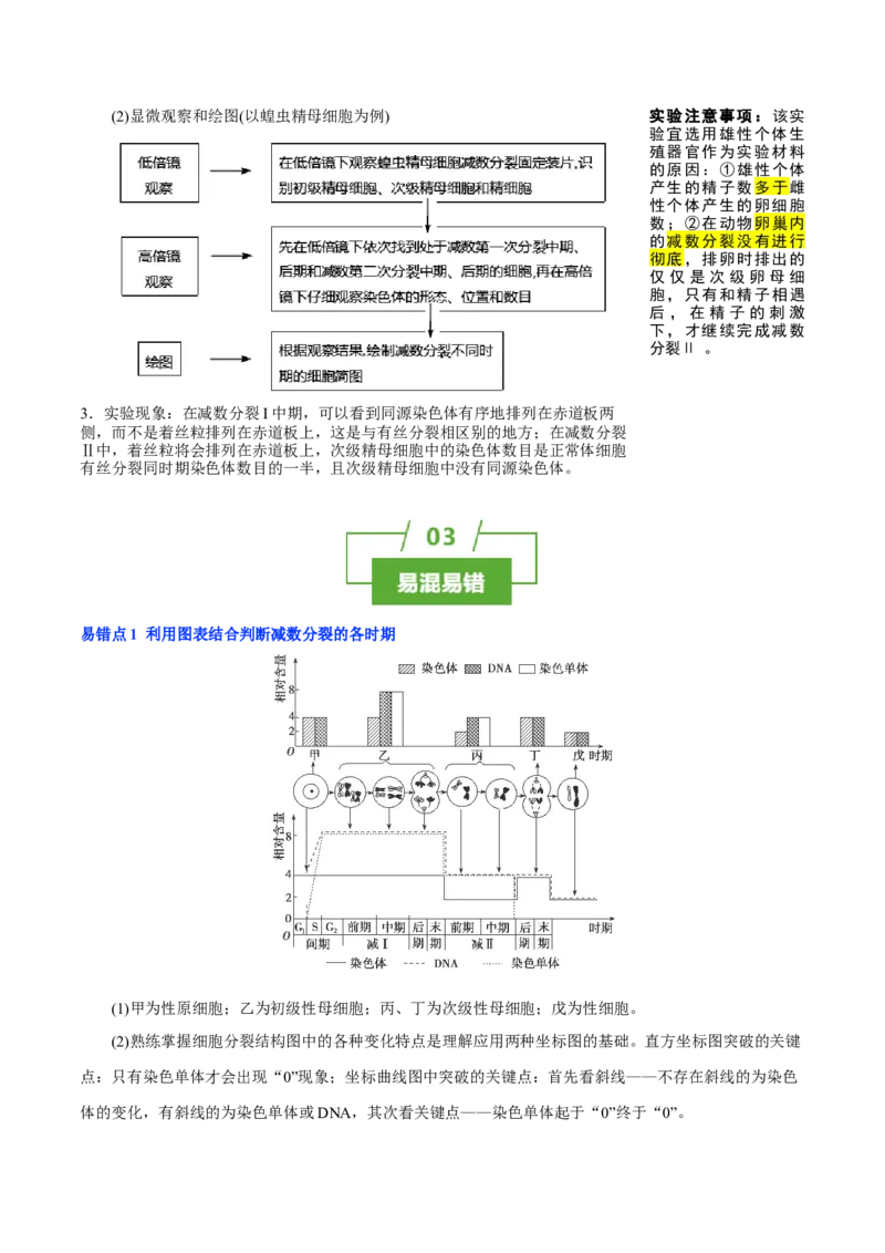 知识清单10+减数分裂和受精作用（3大考点+4个易错点）-上好课2025年高考生物一轮复习知识清单_2025年新高考资料_一轮复习_上好课2025年高考生物一轮复习知识清单325572639