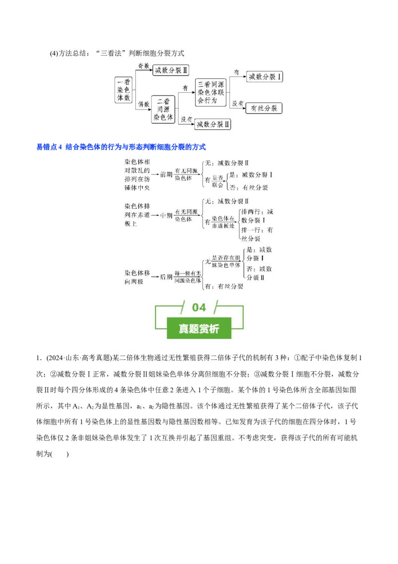 知识清单10+减数分裂和受精作用（3大考点+4个易错点）-上好课2025年高考生物一轮复习知识清单_2025年新高考资料_一轮复习_上好课2025年高考生物一轮复习知识清单325572639