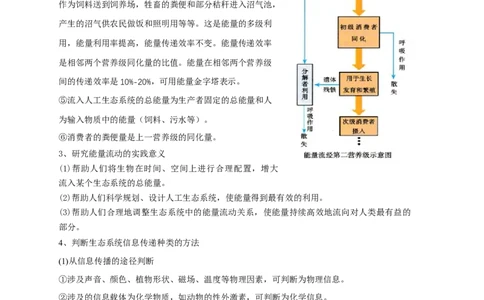 易错点26生态系统和生态工程（解析版）_通用版（老高考）复习资料_2023年复习资料_专项复习_备战2023年高考生物考试易错题（全国通用）_易错点26生态系统和生态工程