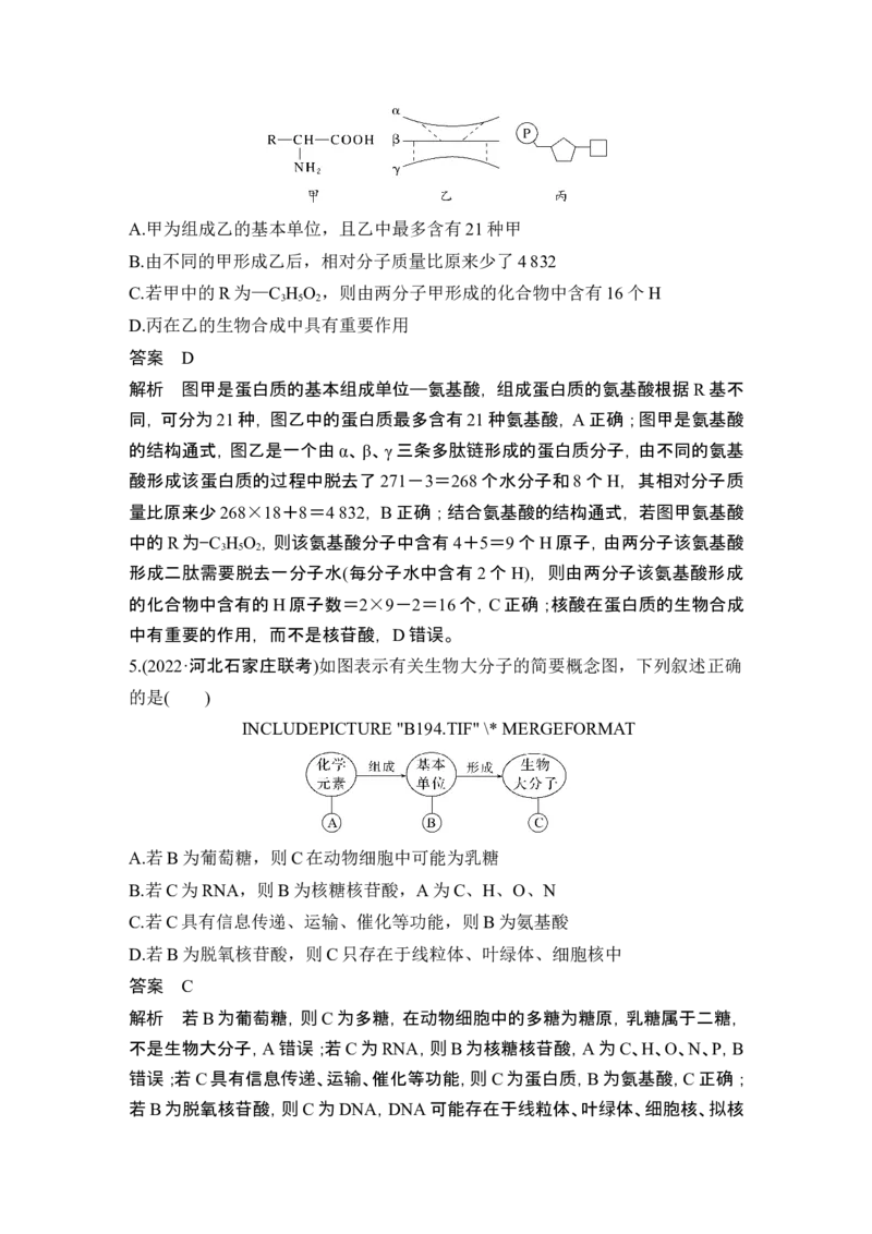热点微练2细胞中有机物的推断(尖子生特训)_新高考复习资料_2024年新高考复习资料_一轮复习资料_完2024生物步步高大一轮复习（课件+讲义）_2024年高考生物一轮复习讲义（新人教版）