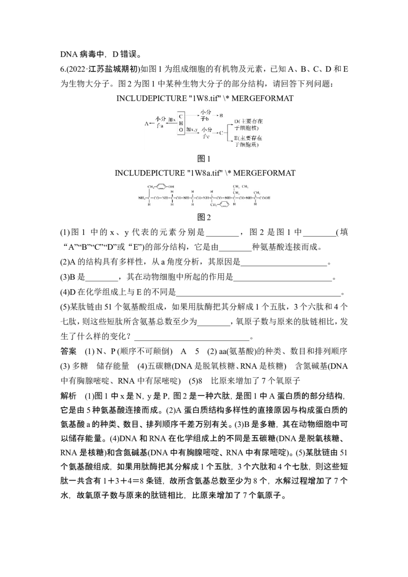 热点微练2细胞中有机物的推断(尖子生特训)_新高考复习资料_2024年新高考复习资料_一轮复习资料_完2024生物步步高大一轮复习（课件+讲义）_2024年高考生物一轮复习讲义（新人教版）