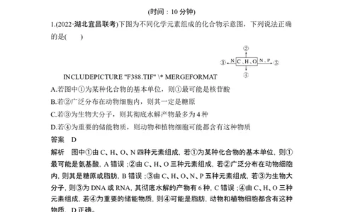 热点微练2细胞中有机物的推断(尖子生特训)_新高考复习资料_2024年新高考复习资料_一轮复习资料_完2024生物步步高大一轮复习（课件+讲义）_2024年高考生物一轮复习讲义（新人教版）