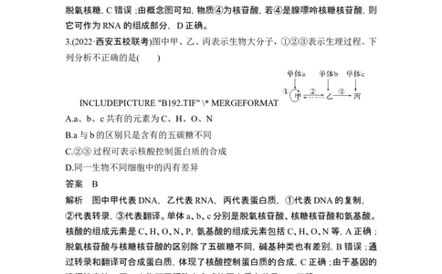 热点微练2细胞中有机物的推断(尖子生特训)_新高考复习资料_2024年新高考复习资料_一轮复习资料_完2024生物步步高大一轮复习（课件+讲义）_2024年高考生物一轮复习讲义（新人教版）