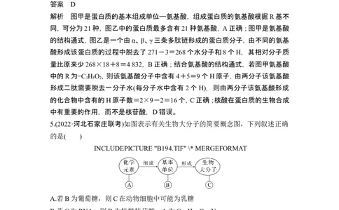 热点微练2细胞中有机物的推断(尖子生特训)_新高考复习资料_2024年新高考复习资料_一轮复习资料_完2024生物步步高大一轮复习（课件+讲义）_2024年高考生物一轮复习讲义（新人教版）