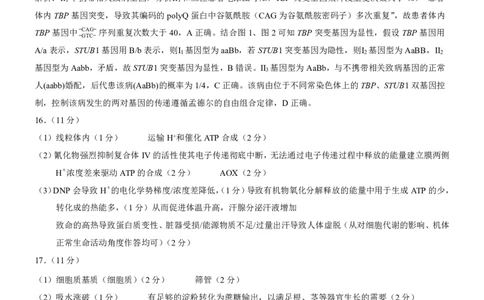 重庆市2026年普通高等学校招生全国统一考试生物答案_2024-2026高三（6-6月题库）_2026年02月高三试卷_260201重庆市2026年普通高等学校招生全国统一考试（康德一诊）（全科）