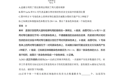 热点微练16　探究不同的基因在常染色体上的位置_新高考复习资料_2023年新高考复习资料_一轮复习_2023年新高考大一轮复习讲义_2023年高考生物一轮复习讲义（新人教新高考）