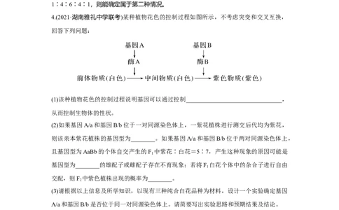 热点微练16　探究不同的基因在常染色体上的位置_新高考复习资料_2023年新高考复习资料_一轮复习_2023年新高考大一轮复习讲义_2023年高考生物一轮复习讲义（新人教新高考）