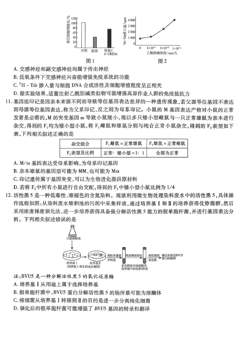 重庆市南开中学高2026届高三第七次质量检测生物_2024-2026高三（6-6月题库）_2026年04月高三试卷_260402重庆南开中学高2026届高三下学期3月第七次质量检测（月考七）（全科）